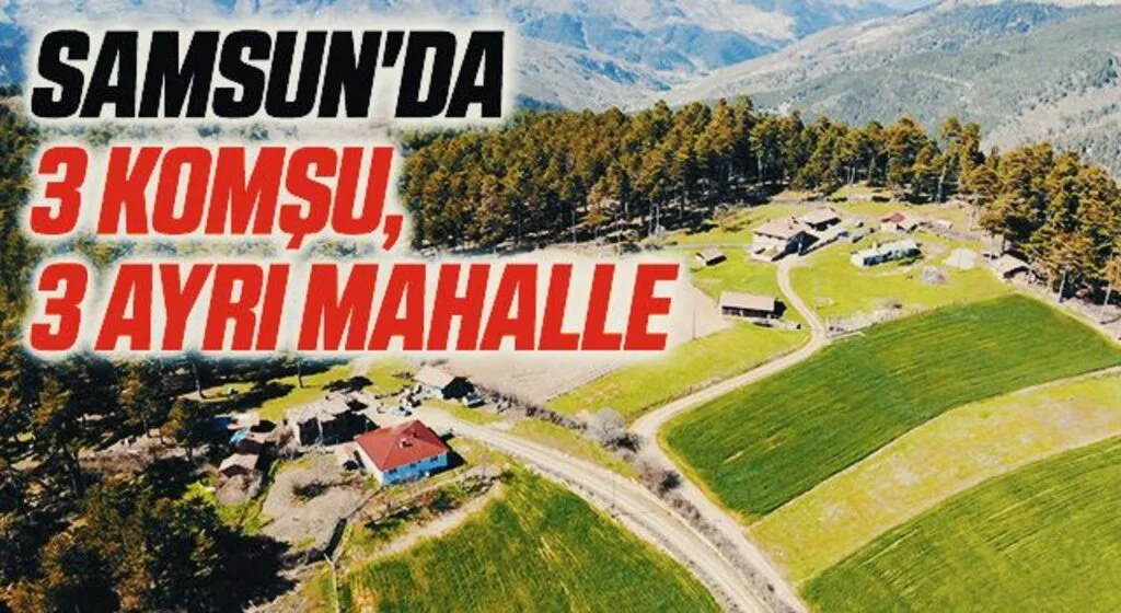 Samsun'da 3 komşu, 3 ayrı mahalle