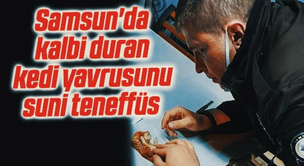 Samsun'da kalbi duran kedi yavrusunu suni teneffüs yapan mahalle bekçisi kurtardı