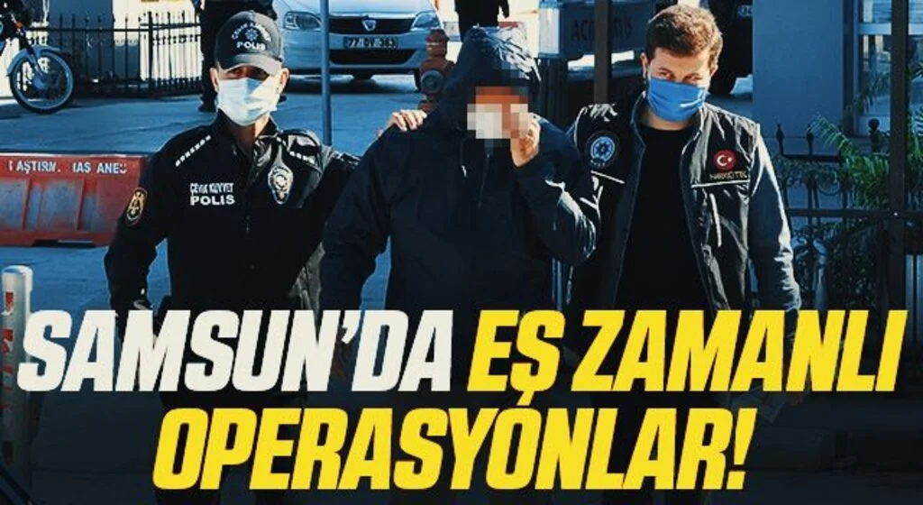 Samsun'da kapalı alanda kenevir yetiştirenlere operasyon: 11 gözaltı