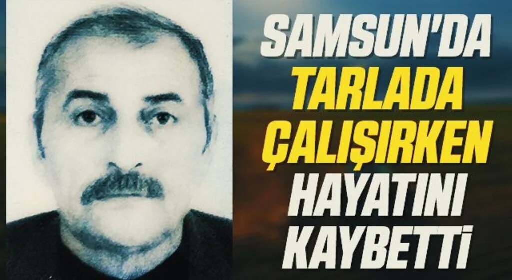 Samsun'da Tarlada çalışırken hayatını kaybetti