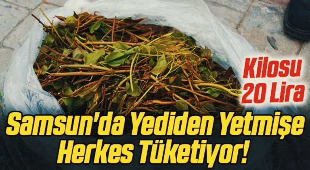Samsun'da Yediden Yetmişe Herkes Tüketiyor! Kilosu 20 Lira