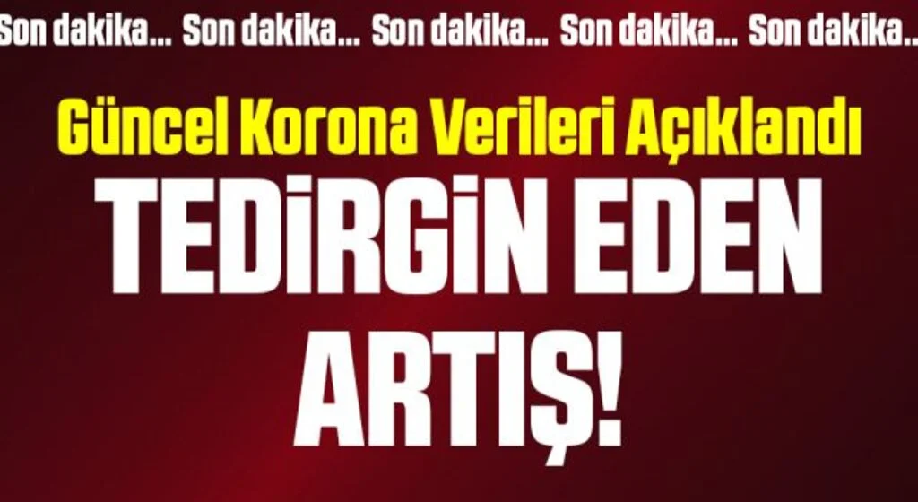 Son Dakika: 25 Mayıs koronavirüs tablosu açıklandı