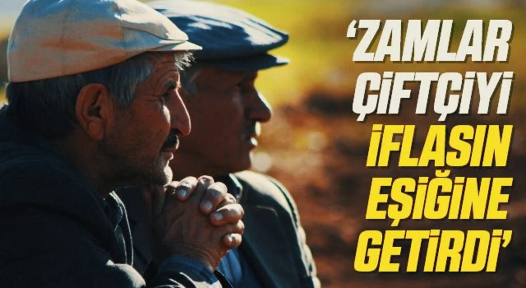 Terme Ziraat Odası Başkanı Ferda Ergün: Zamlar çiftçiyi iflasın eşiğine getirdi