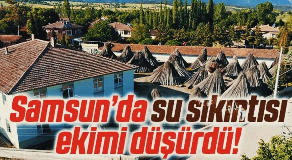 Türkiye'nin kenevir merkezi ilan edilen ilçede bu sene kenevir ekimi düştü