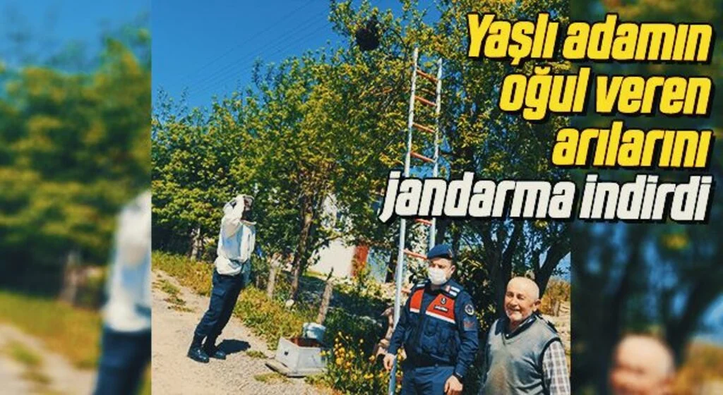 Yaşlı adamın oğul veren arılarını jandarma indirdi