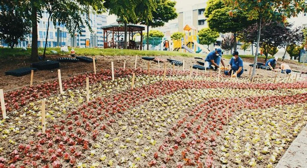 Atakum'da parklar renklendi