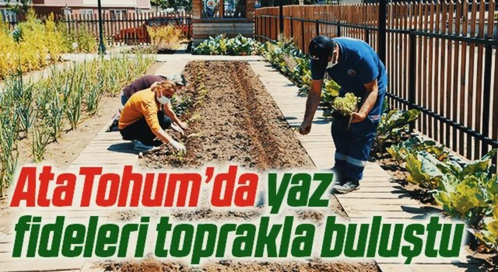 AtaTohum’da yaz fideleri toprakla buluştu