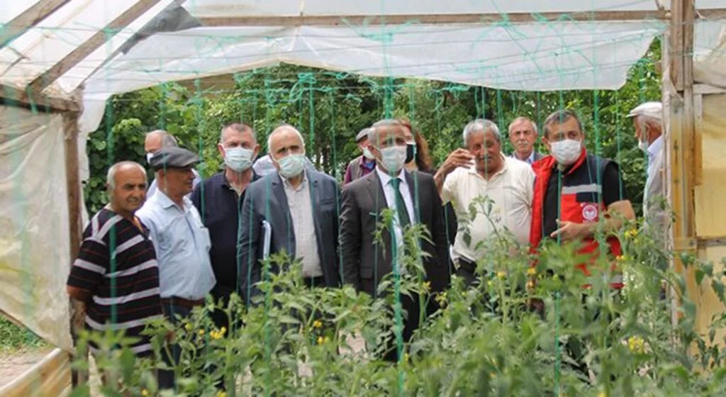 Çarşamba’da Zararlılarla Mücadele İçin Yapışkan Tuzak Dağıtımı