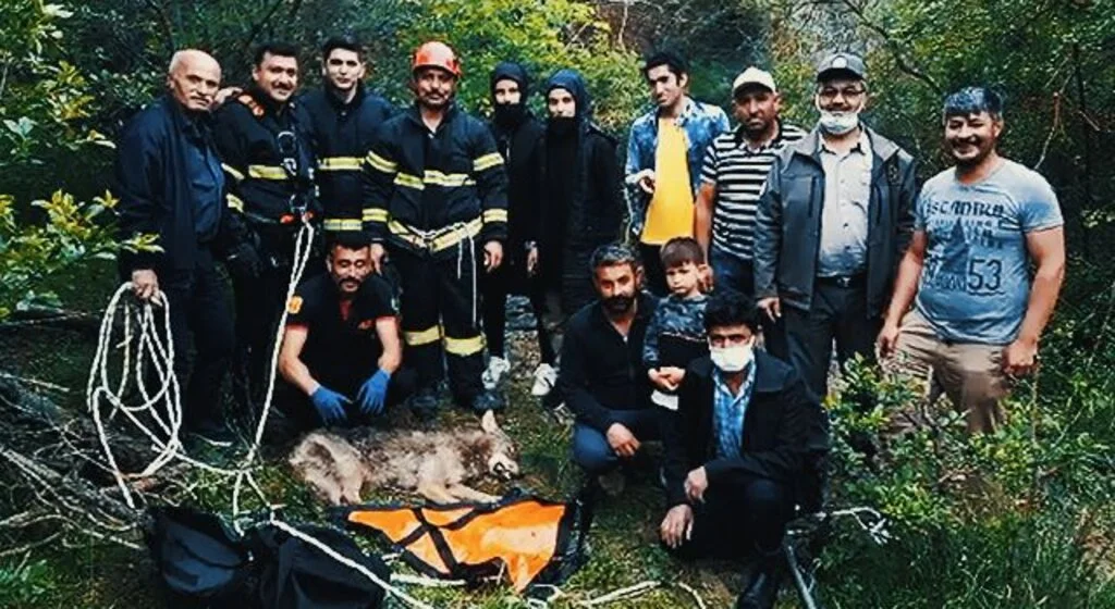 Çorum'da su kuyusuna düşen kurt kurtarıldı