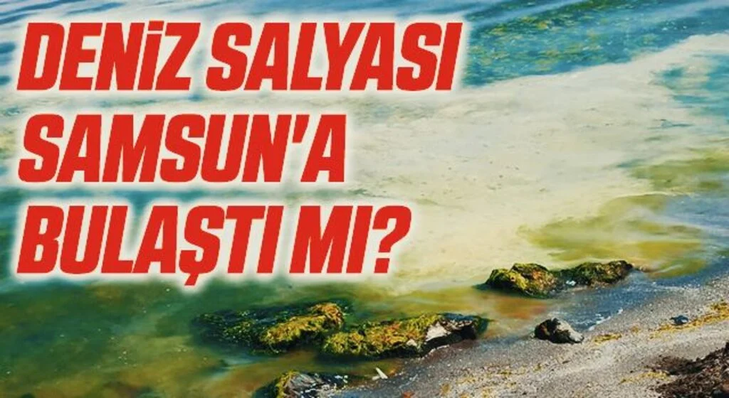 Deniz salyası Samsun'a bulaştı mı?