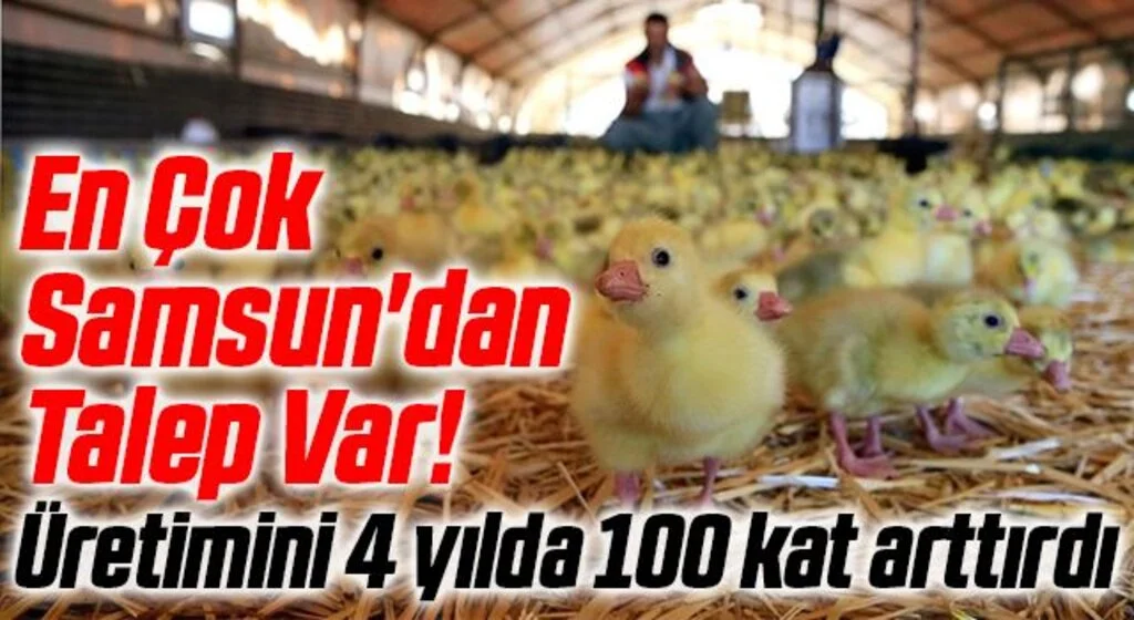 En Çok Samsun'dan Talep Var! Üretimini 4 yılda 100 kat arttırdı