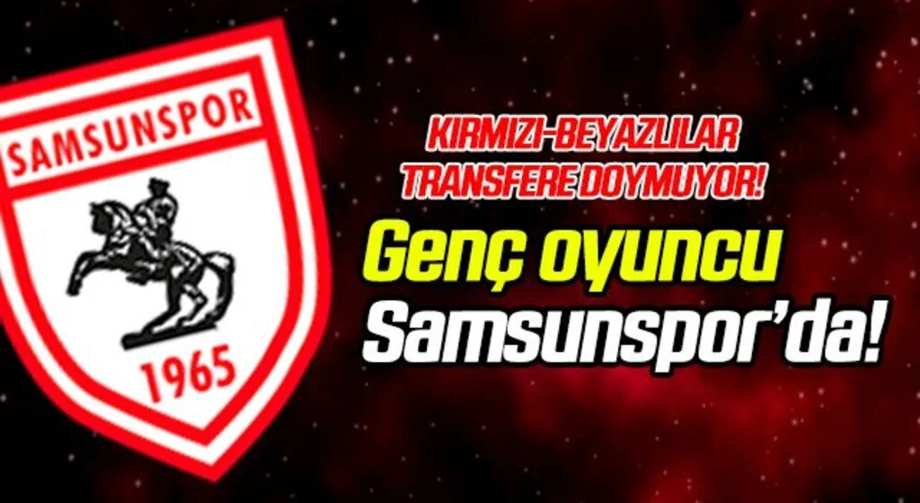 Furkan Fehmi Güneş, Yılport Samsunspor'da