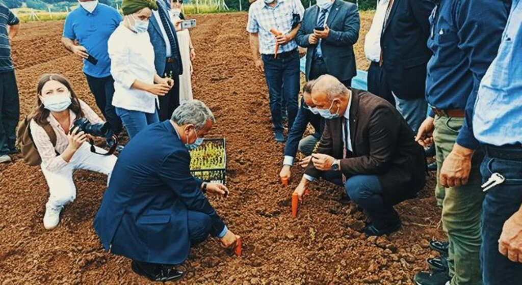 Kekik Fide Dağıtım ve Dikimi Tarla Günü
