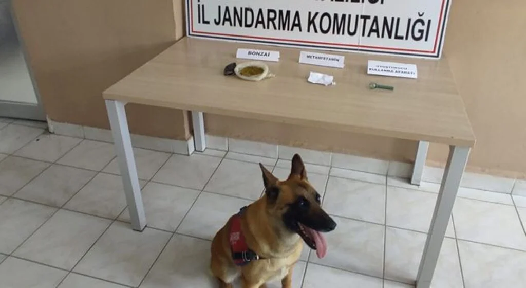 Samsun'a uyuşturucu sevkiyatı jandarmaya takıldı