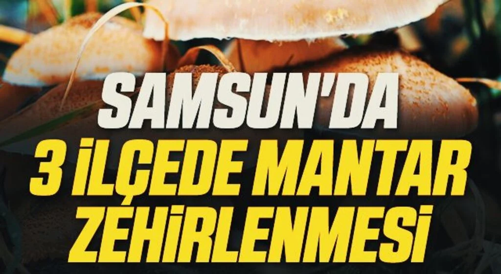 Samsun'da 3 İlçede Mantar Zehirlenmesi