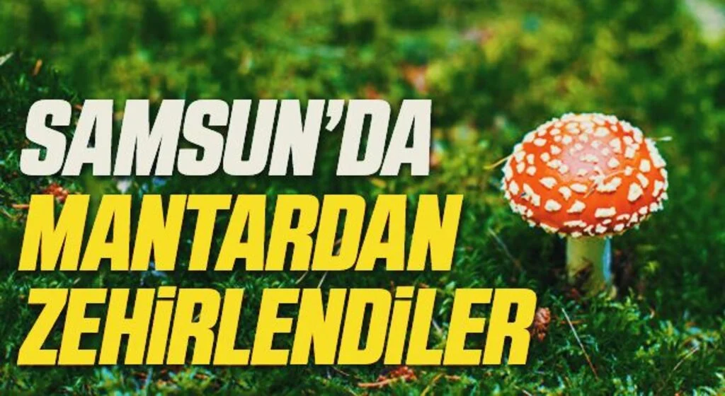 Samsun'da 3 kişi yedikleri mantardan zehirlendi