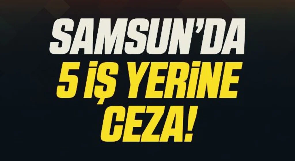 Samsun’da 5 iş yerine ceza
