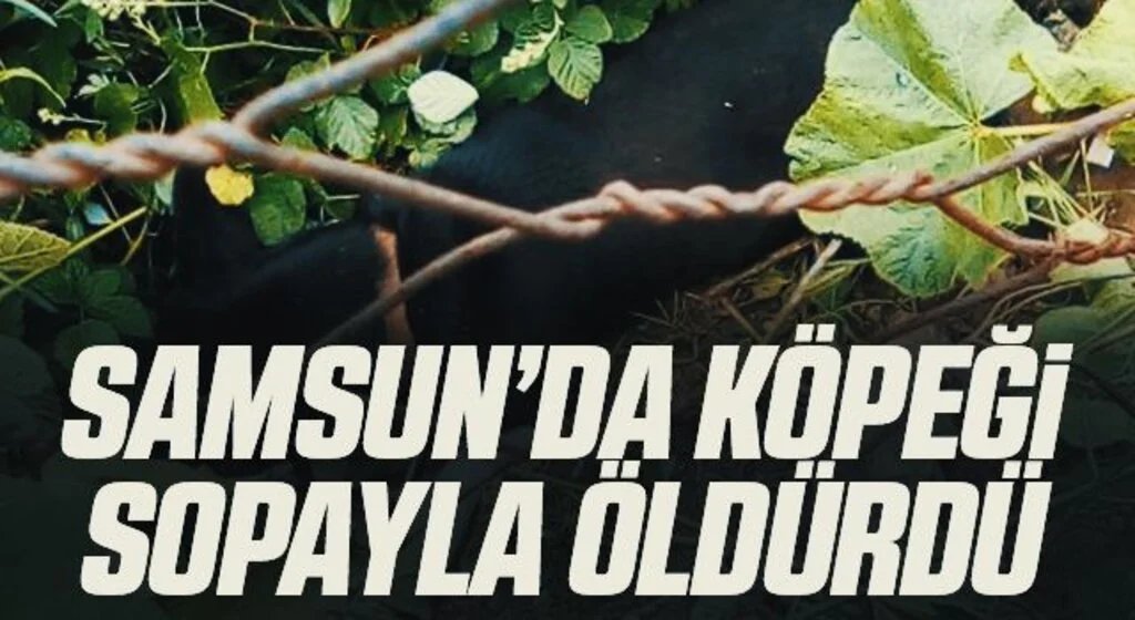 Samsun'da Bahçesine giren köpeği öldürdü