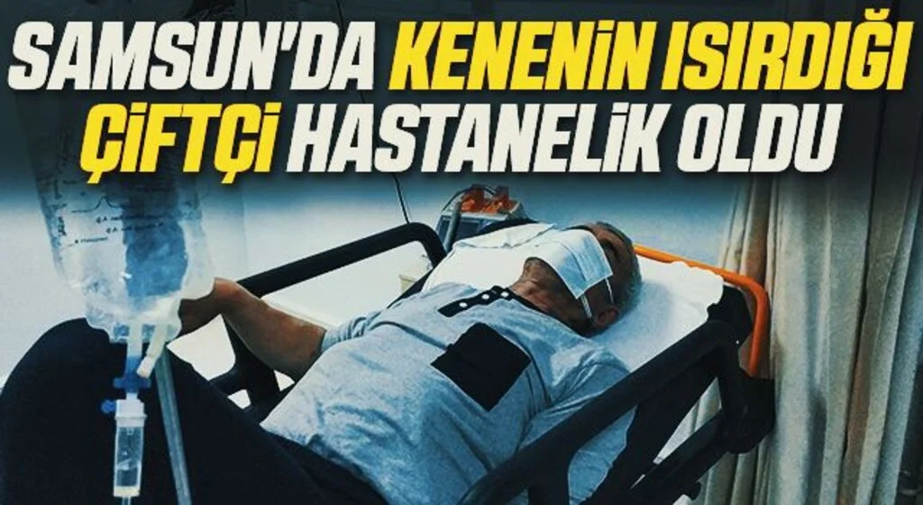 Samsun'da kenenin ısırdığı çiftçi hastanelik oldu