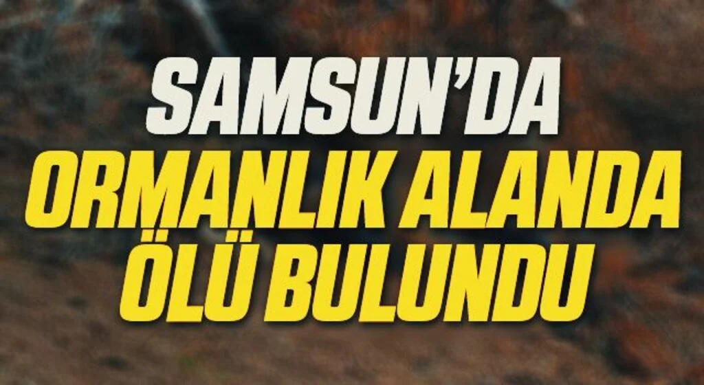 Samsun'da Koyun otlatmaya giden yaşlı adam ormanlık alanda ölü bulundu