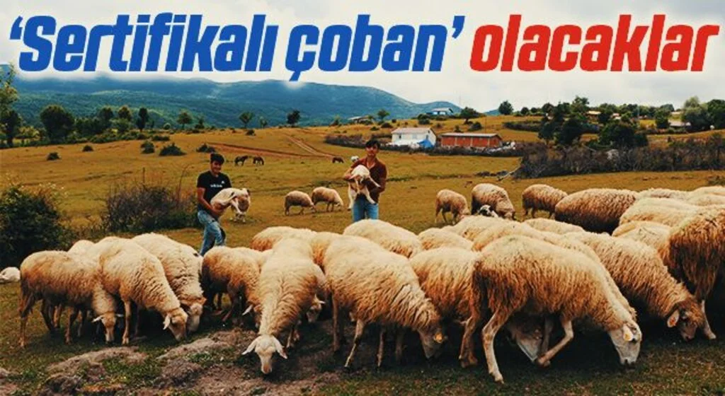 Samsun'da ‘Sertifikalı çoban’ olacaklar