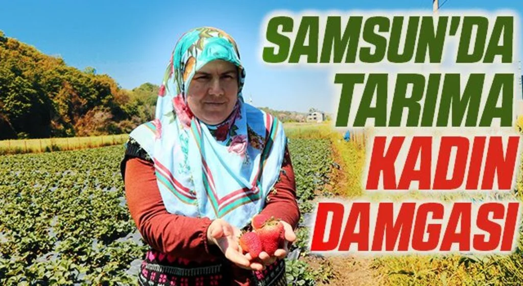 Samsun'da tarıma kadın damgası: ÇKS’ye kayıtlı 68 bin 507 işletmeden 9 bin 69’u kadınlara ait