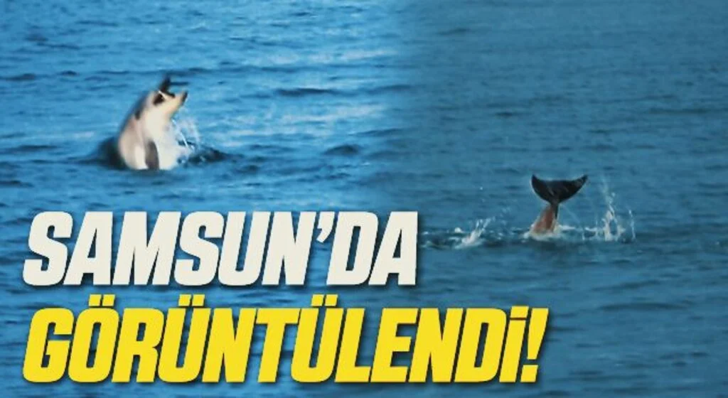 Samsun'da Yunus Şöleni