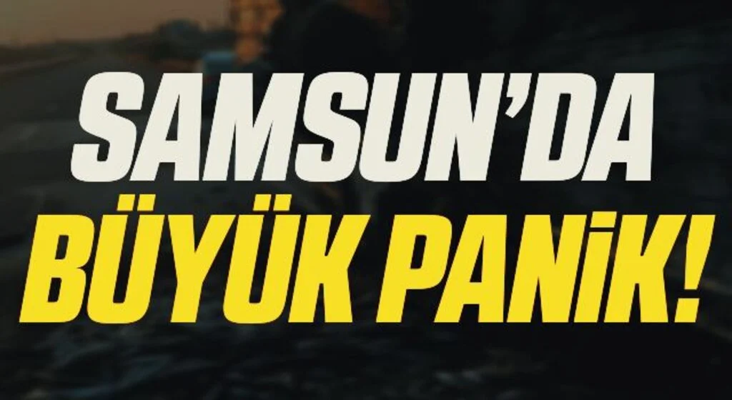 Samsun'da Yüzlerce balık telef!