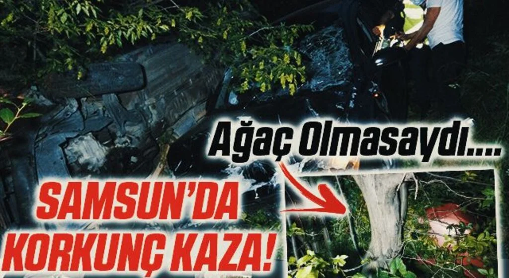 Şarampole uçan 2 araçtaki sürücülerin hayatlarını uçuruma 2 metre kala ağaç kurtardı