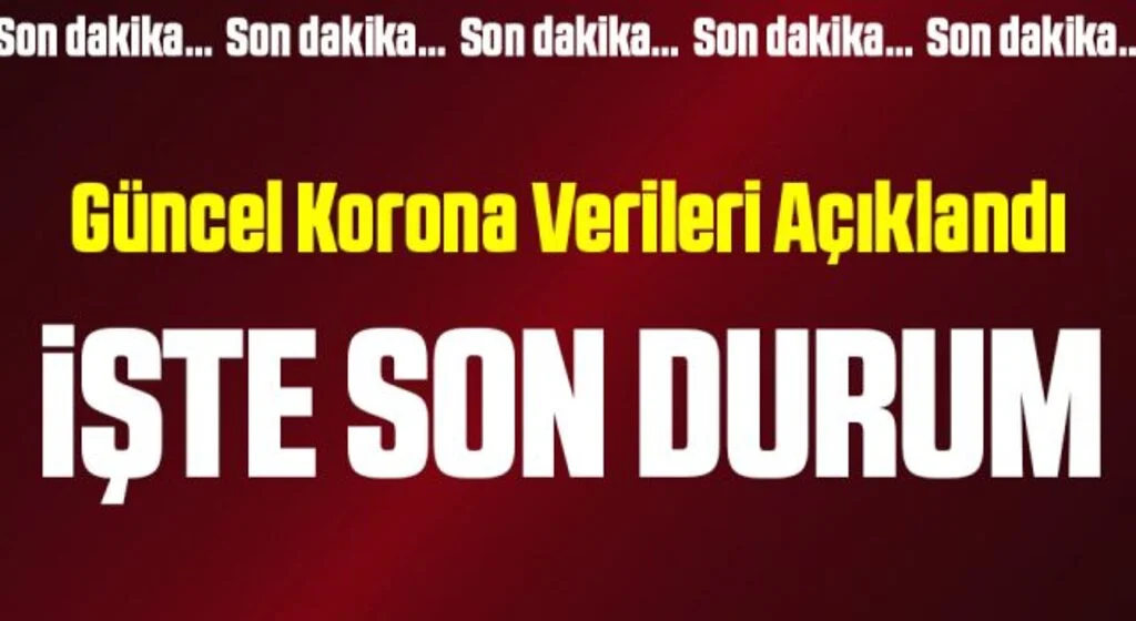 Son Dakika: 25 Haziran koronavirüs tablosu açıklandı