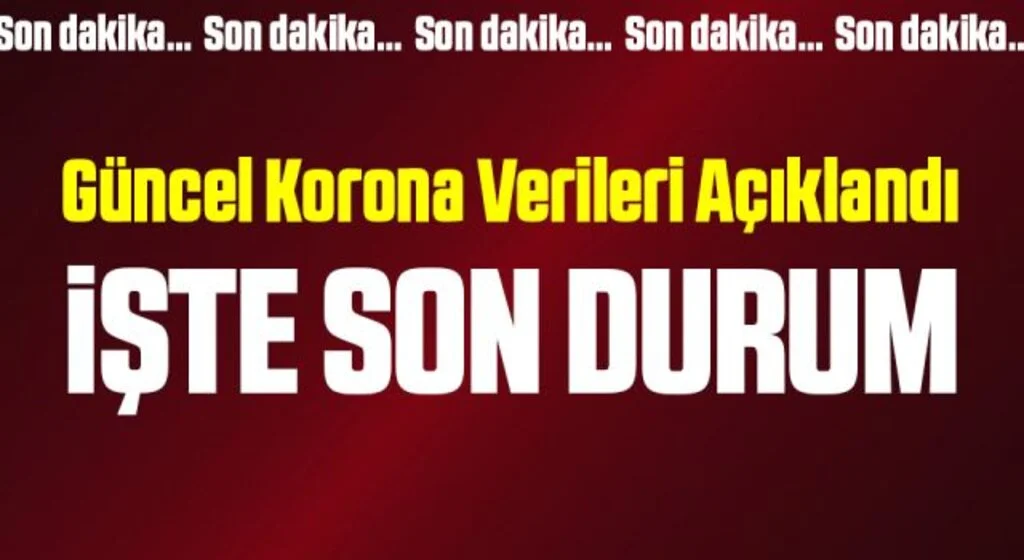 Son Dakika: 28 Haziran koronavirüs tablosu açıklandı