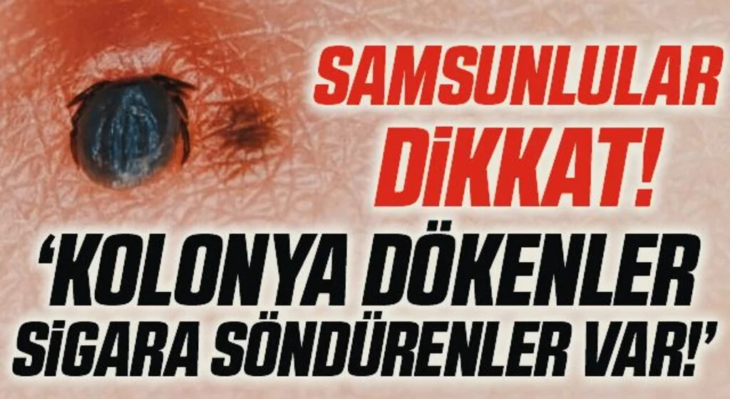 Uzmanlardan ’kene’ uyarısı: "10 gün içinde öldürebiliyor"