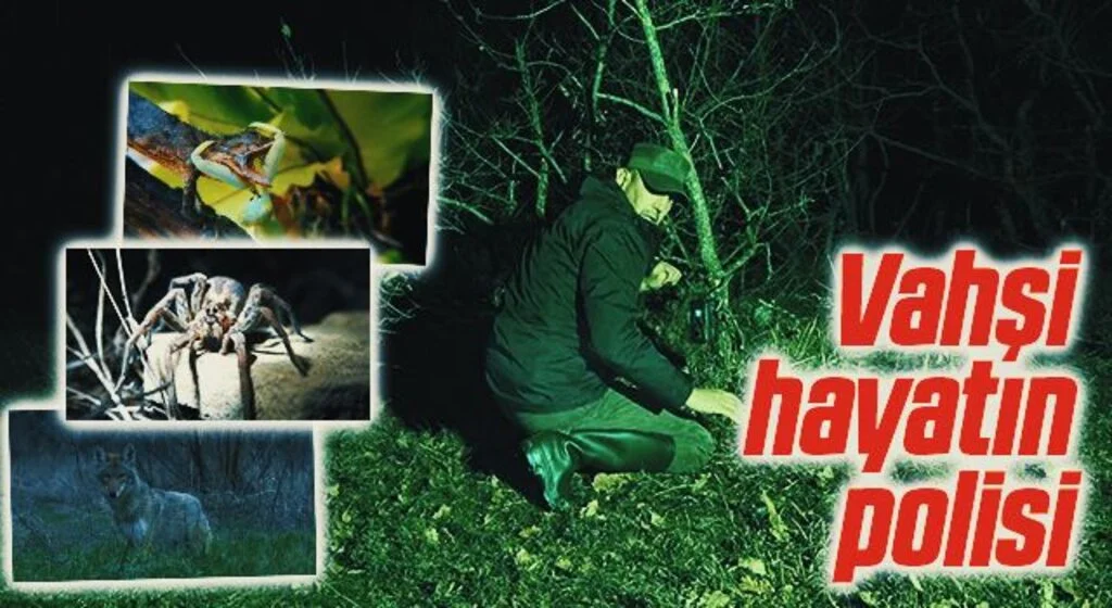 Vahşi hayatın polisi