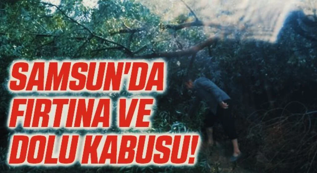 Vezirköprü'yü sağanak yıktı geçti 