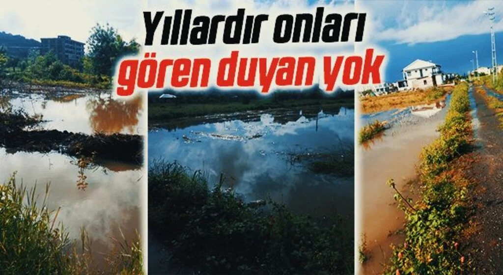 Yıllardır onları gören duyan yok