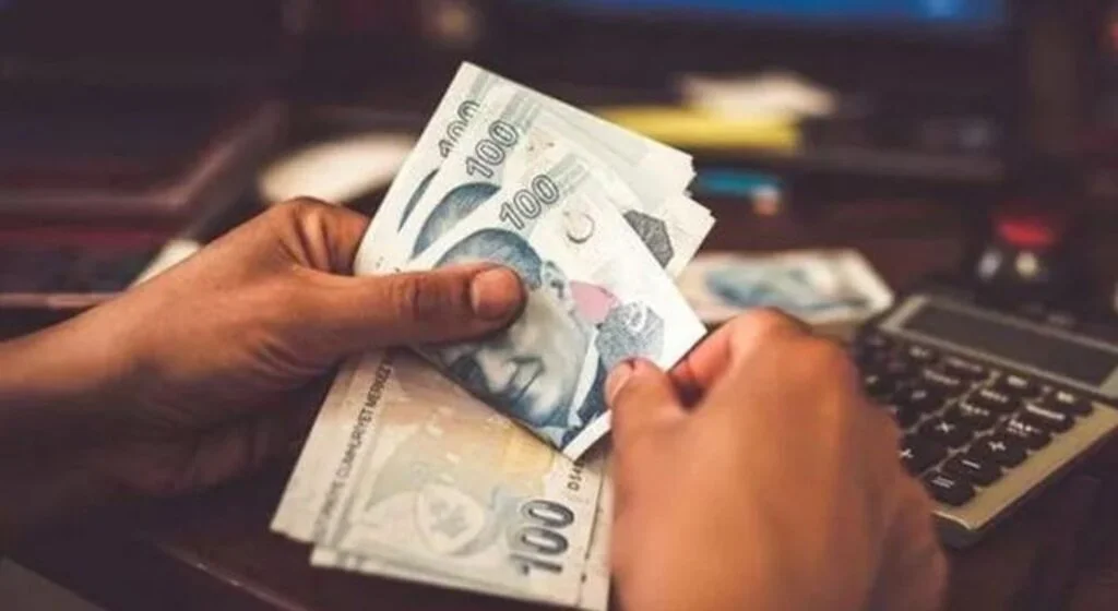 18 yaş altı çocuğu olanlar dikkat! BES başvuruları bugün başladı