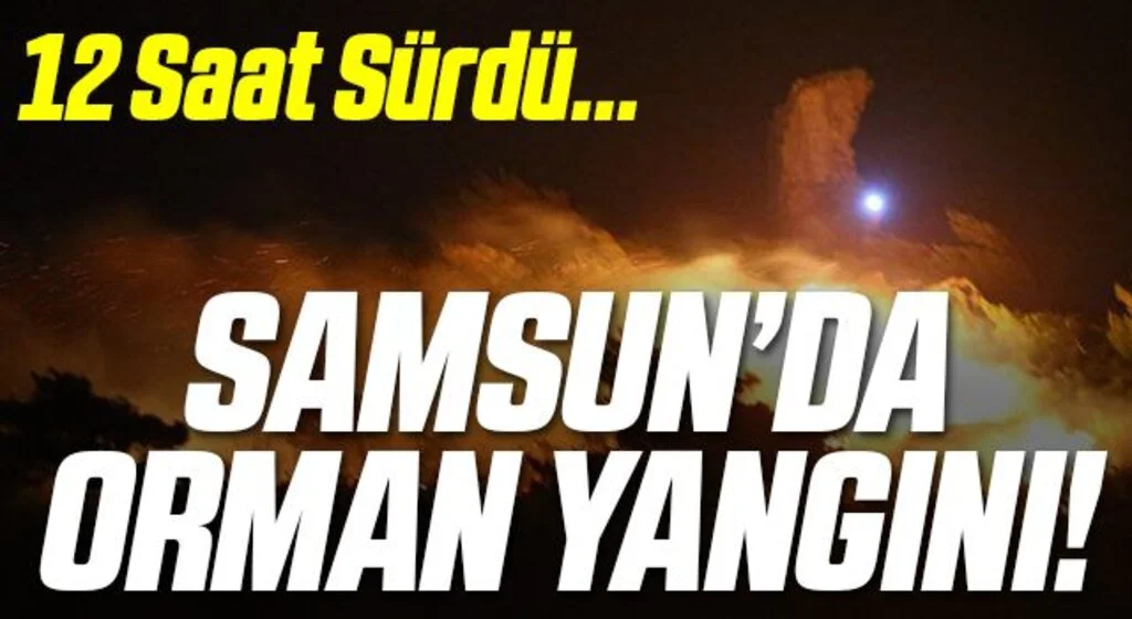 Bafra'daki orman yangını! Ciğerlerimiz yandı