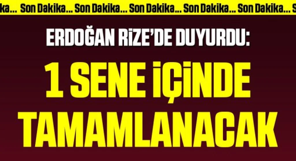 Cumhurbaşkanı Erdoğan sel bölgesinde: Bir sene içinde konutlarımızı tamamlayacağız