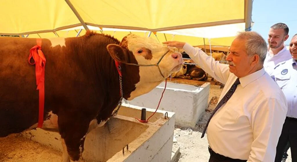 İlkadım'dan ‘Kurbanınız Sevince Dönüşsün’ kampanyası