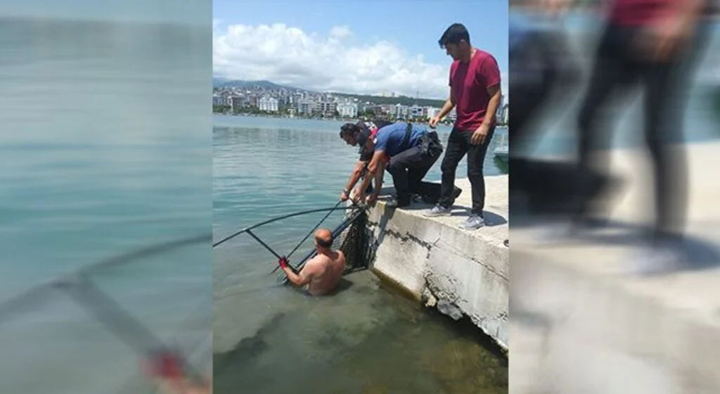 Karadeniz'de kaçak avcılık operasyonunda 2 düzenek ele geçirildi