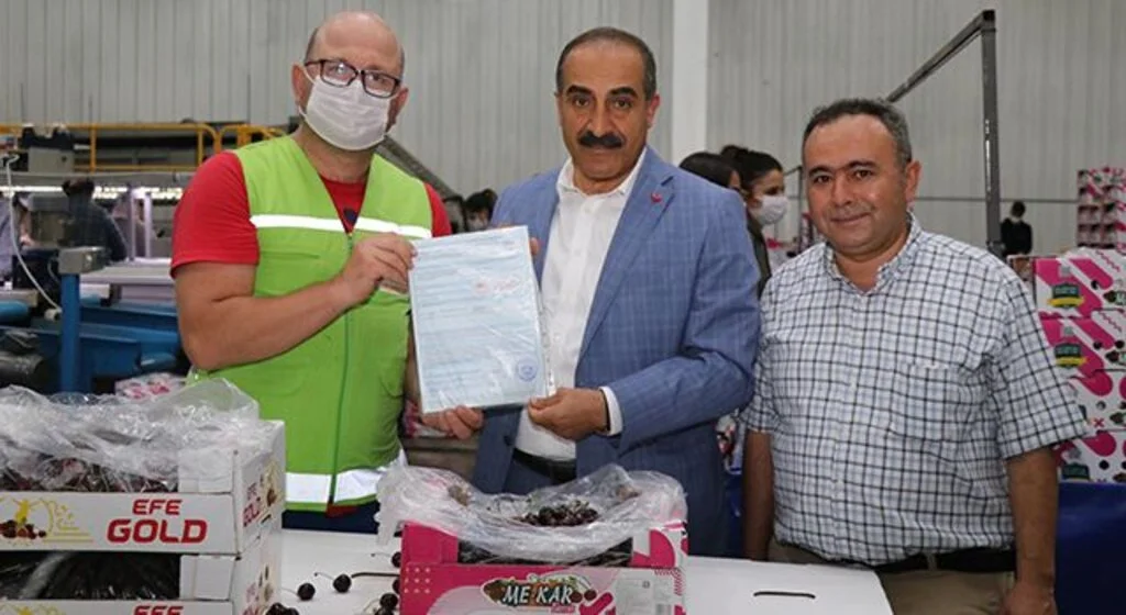 Kemalpaşa'da kiraz ve yaş meyve sebze ihracatına inspektör desteği