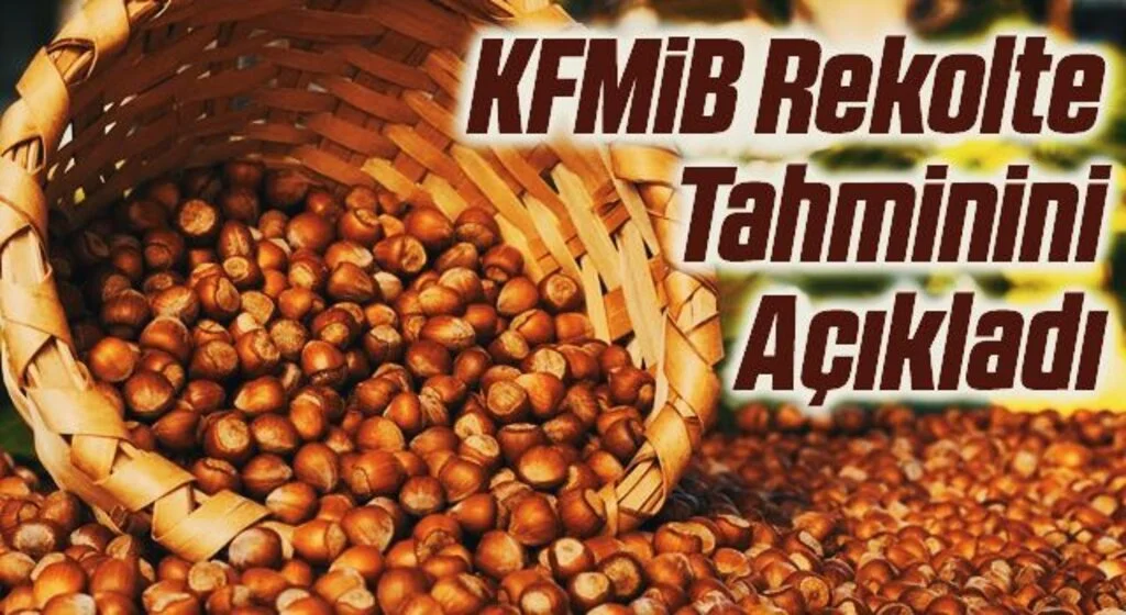 KFMİB rekolte tahminini açıkladı