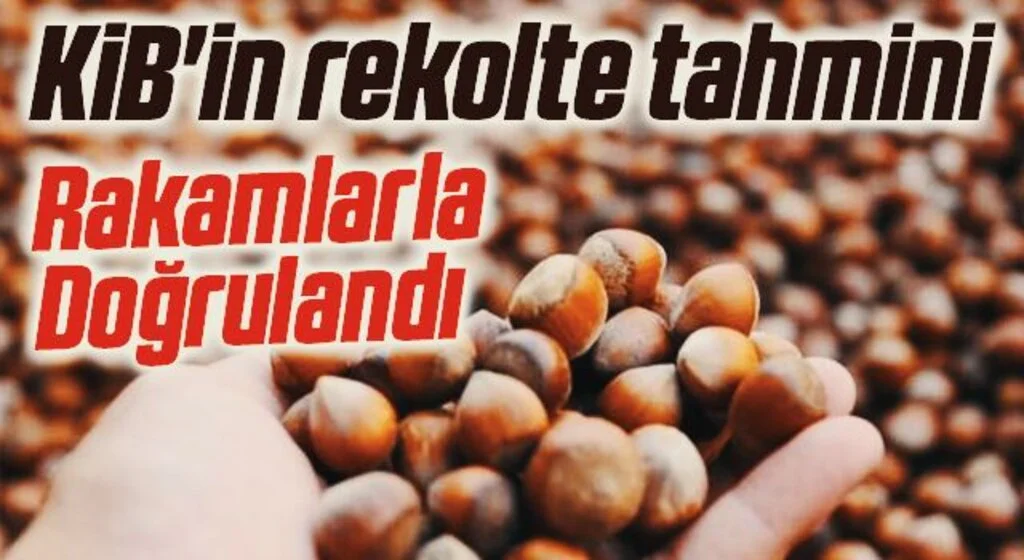 KİB'in rekolte tahmini rakamlarla doğrulandı