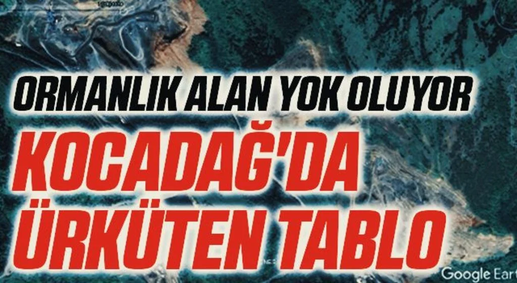 Kocadağ'da ürküten tablo