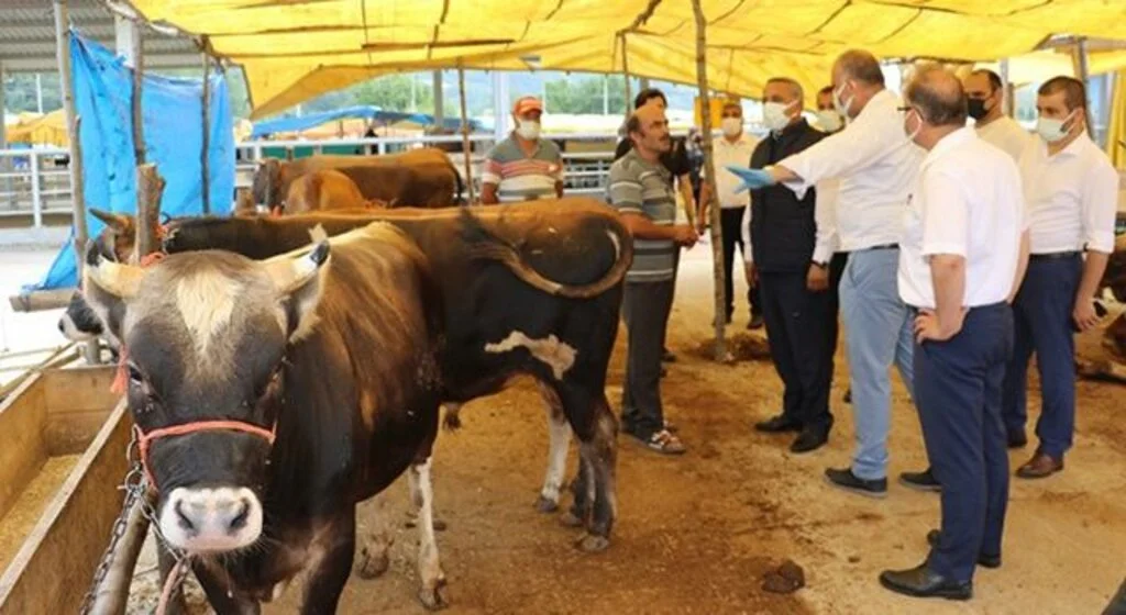 Kurbanlık alacaklara uyarılar