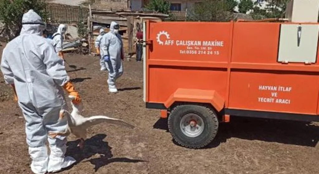 Kuş gribi şüphesiyle yaklaşık 200 kanatlı hayvan itlaf edildi