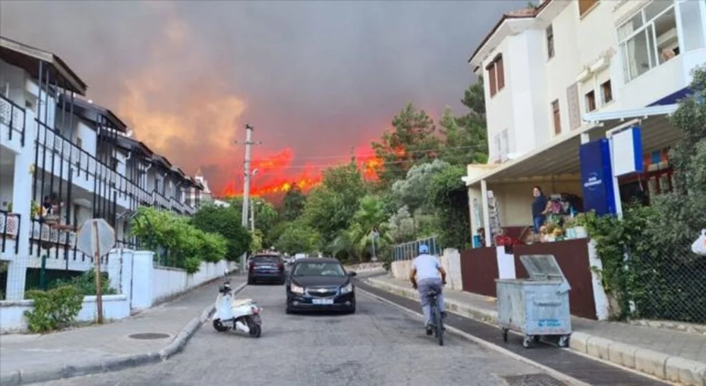 Marmaris ve Milas'ta ormanlık alanda yangın çıktı