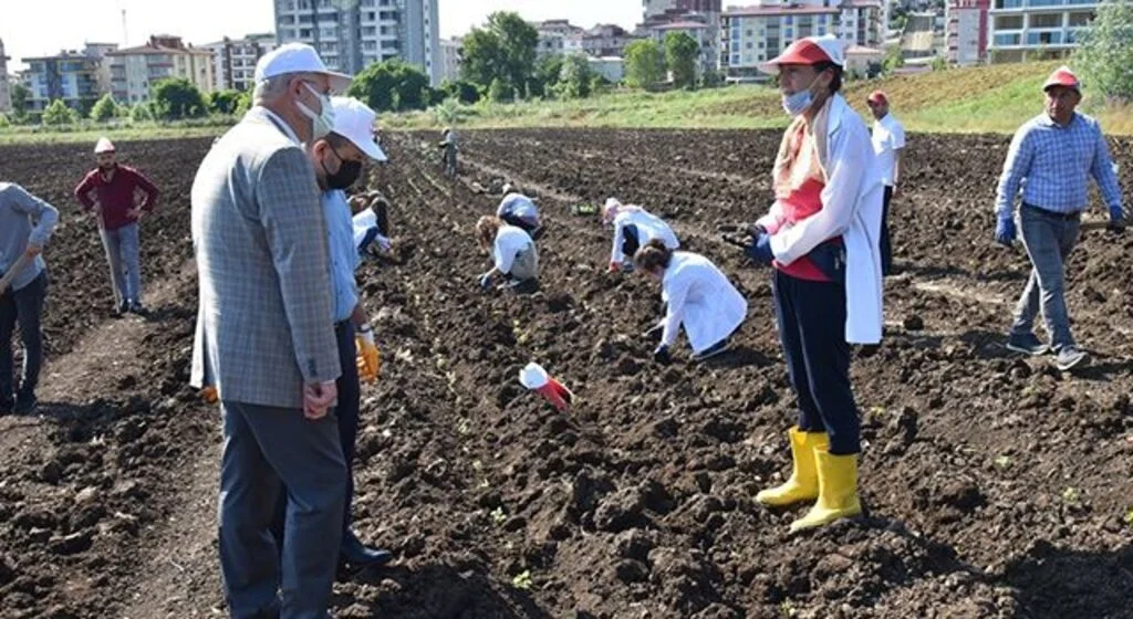 OMÜ'ye tıbbi-aromatik bitki bahçesi