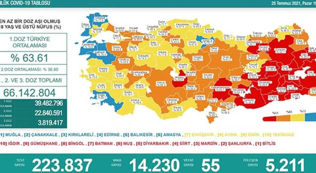 Samsun aşıda sarı renkte 
