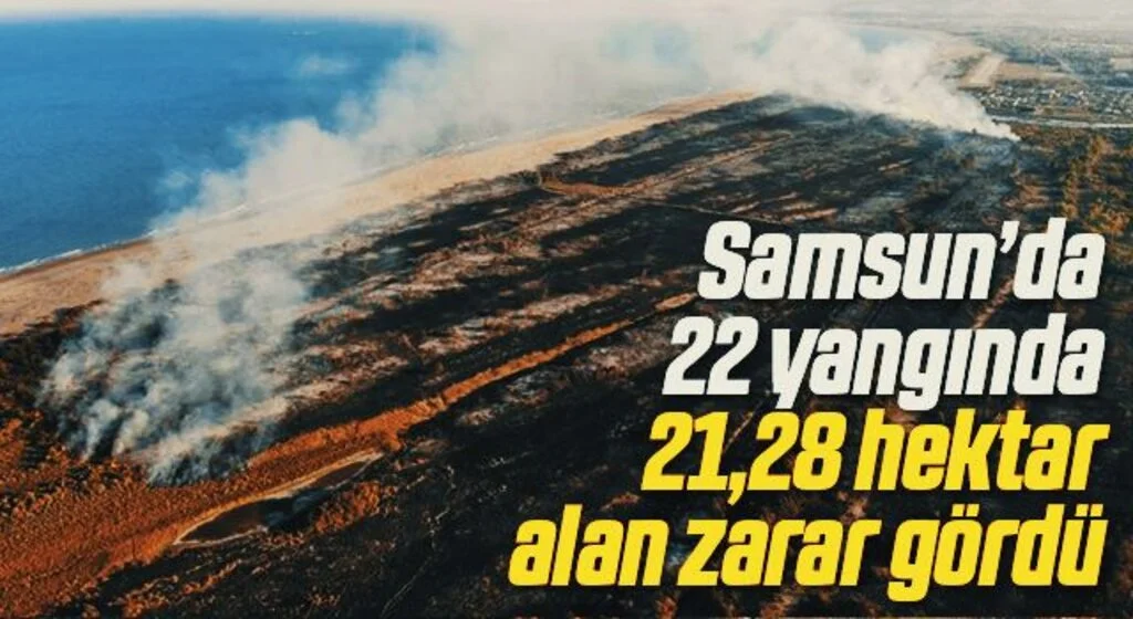 Samsun ormanlarında çıkan 22 yangında 21,28 ha örtü zarar gördü